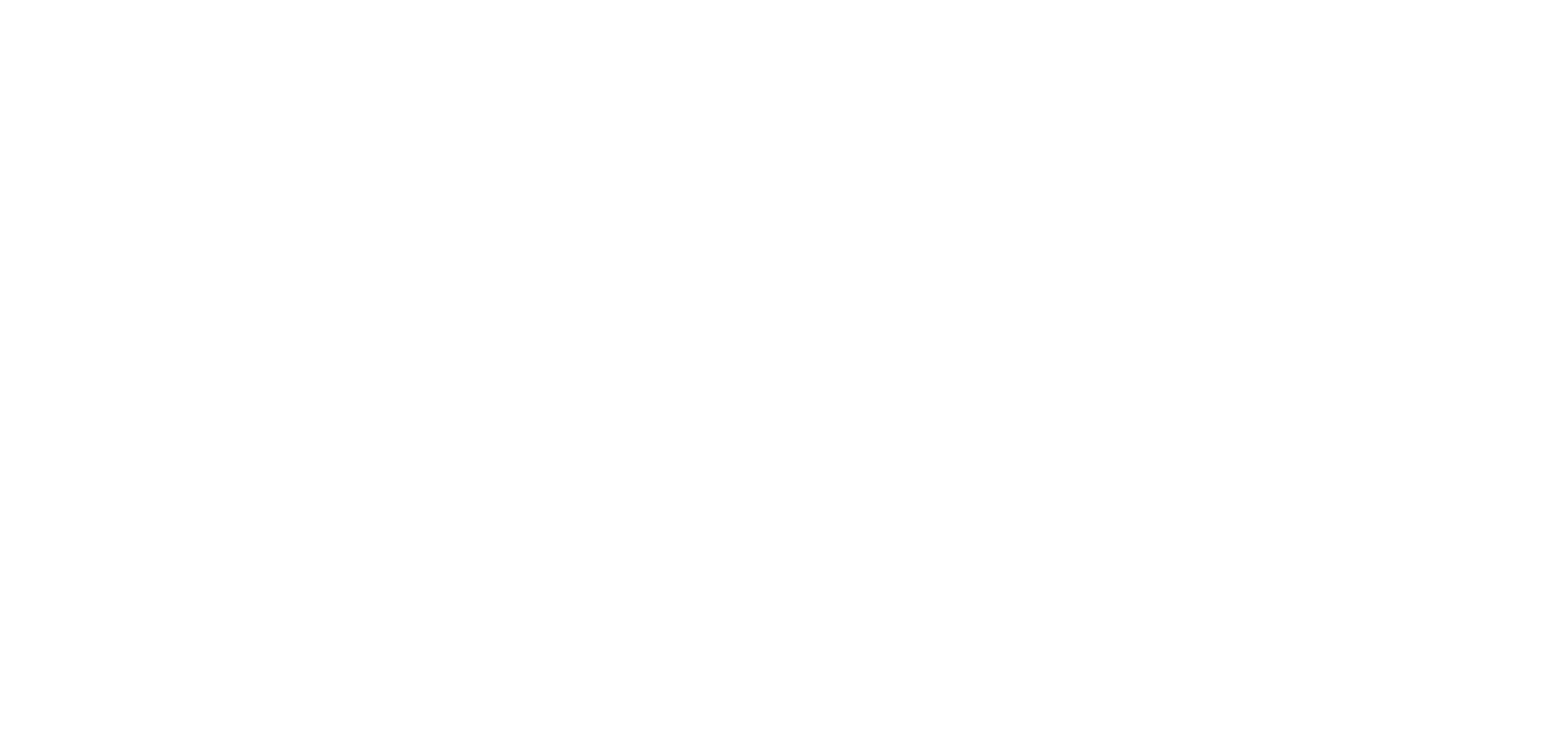 DYSIDE logo